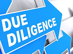 Image of article: Due Diligence 